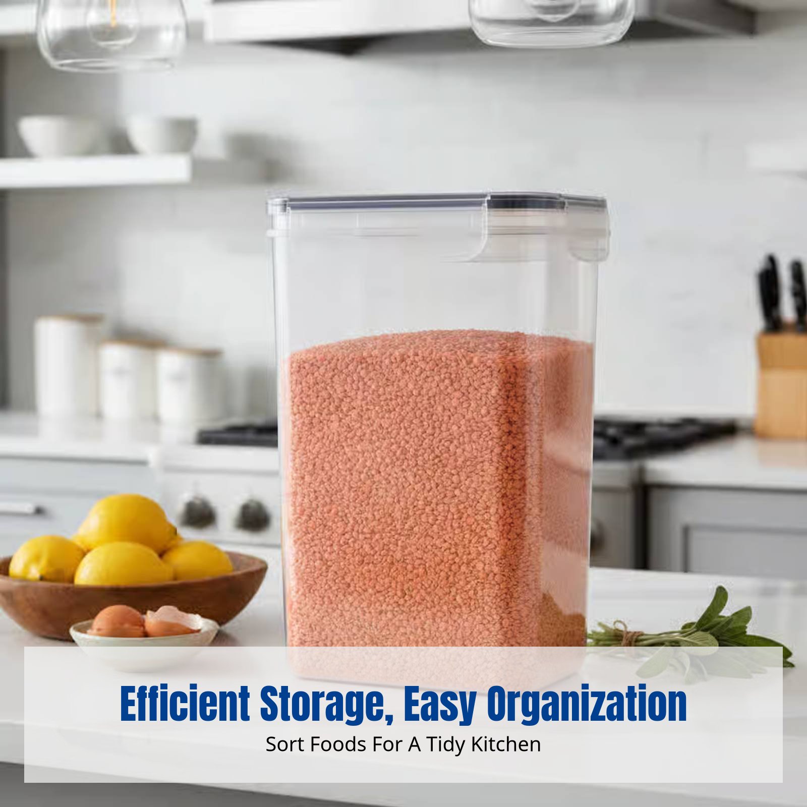 Airtight Food Storage Containe - đánh giá và giá Food Storage Refrigerator