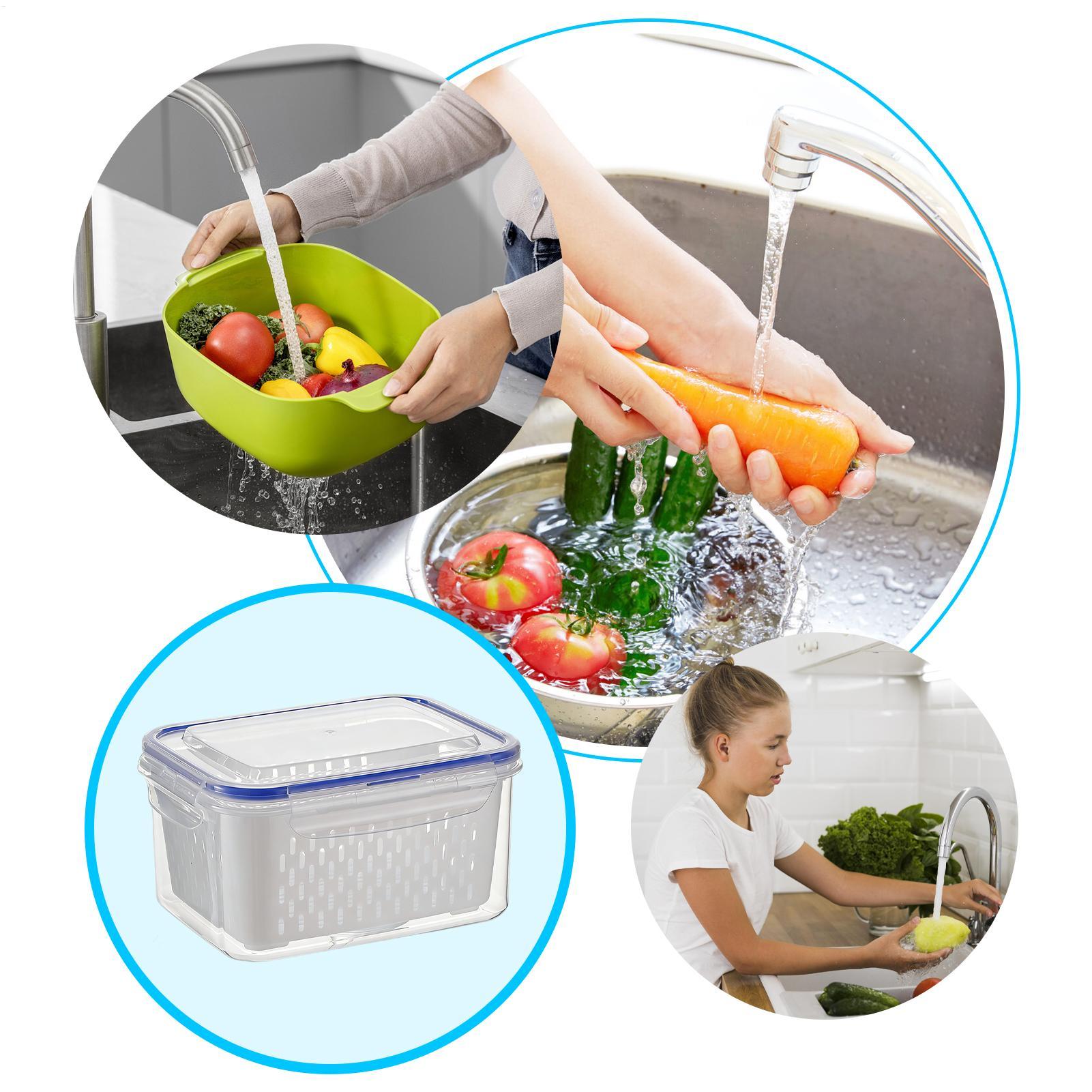 4 In 1 Food Storage Container  - đánh giá và giá Food Storage Refrigerator
