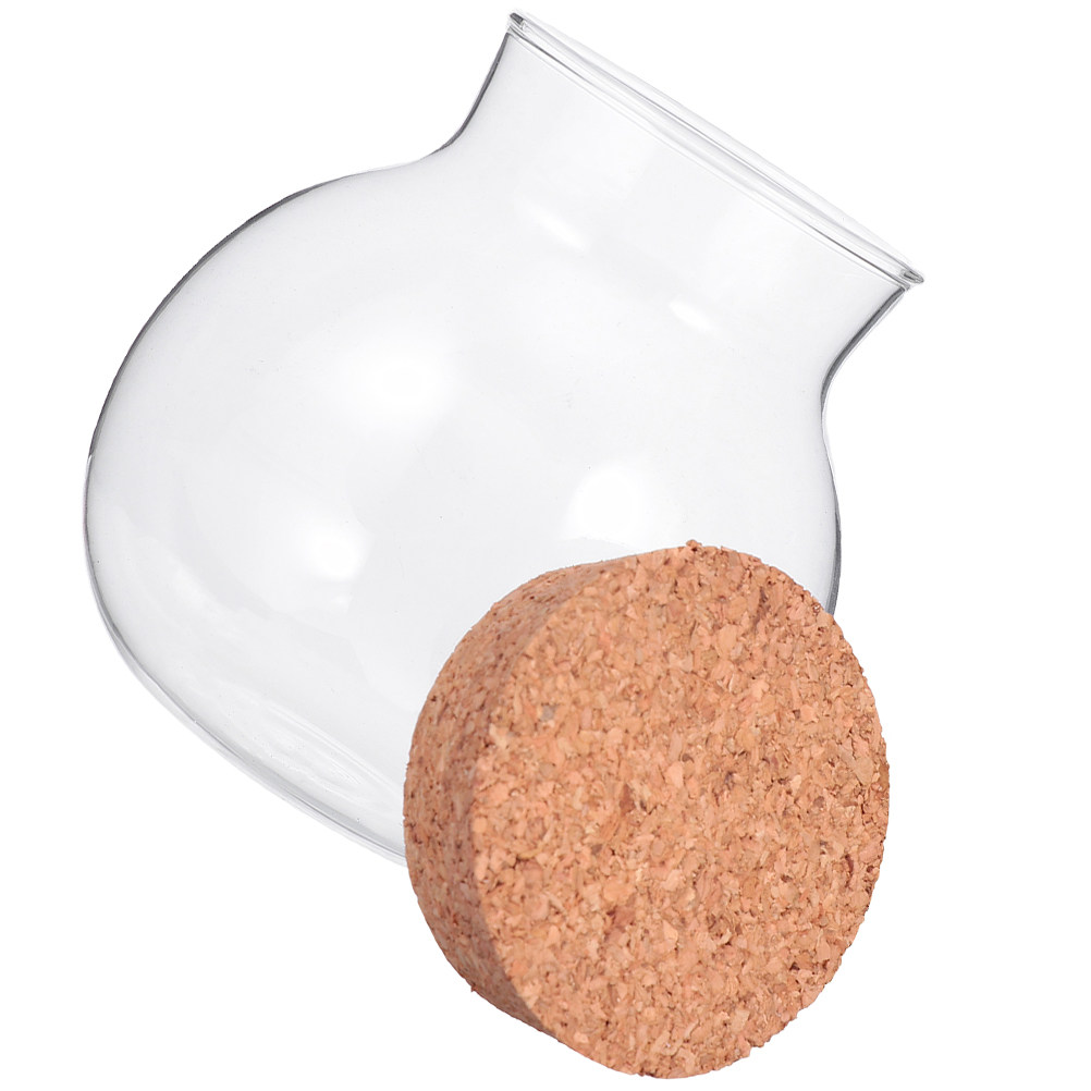 High Quality Glass Canister wi - đánh giá và giá Food Storage With Glass Lids