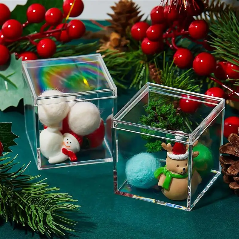 12 PCS Transparent Acrylic Box - đánh giá và giá Food Storage Acrylic Containers