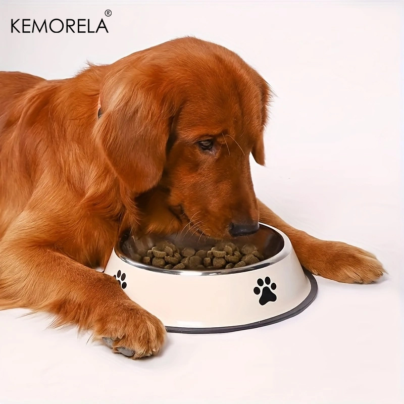 Stainless Steel Pet Dog Bowl F - đánh giá và giá Dog Food Storage Xl