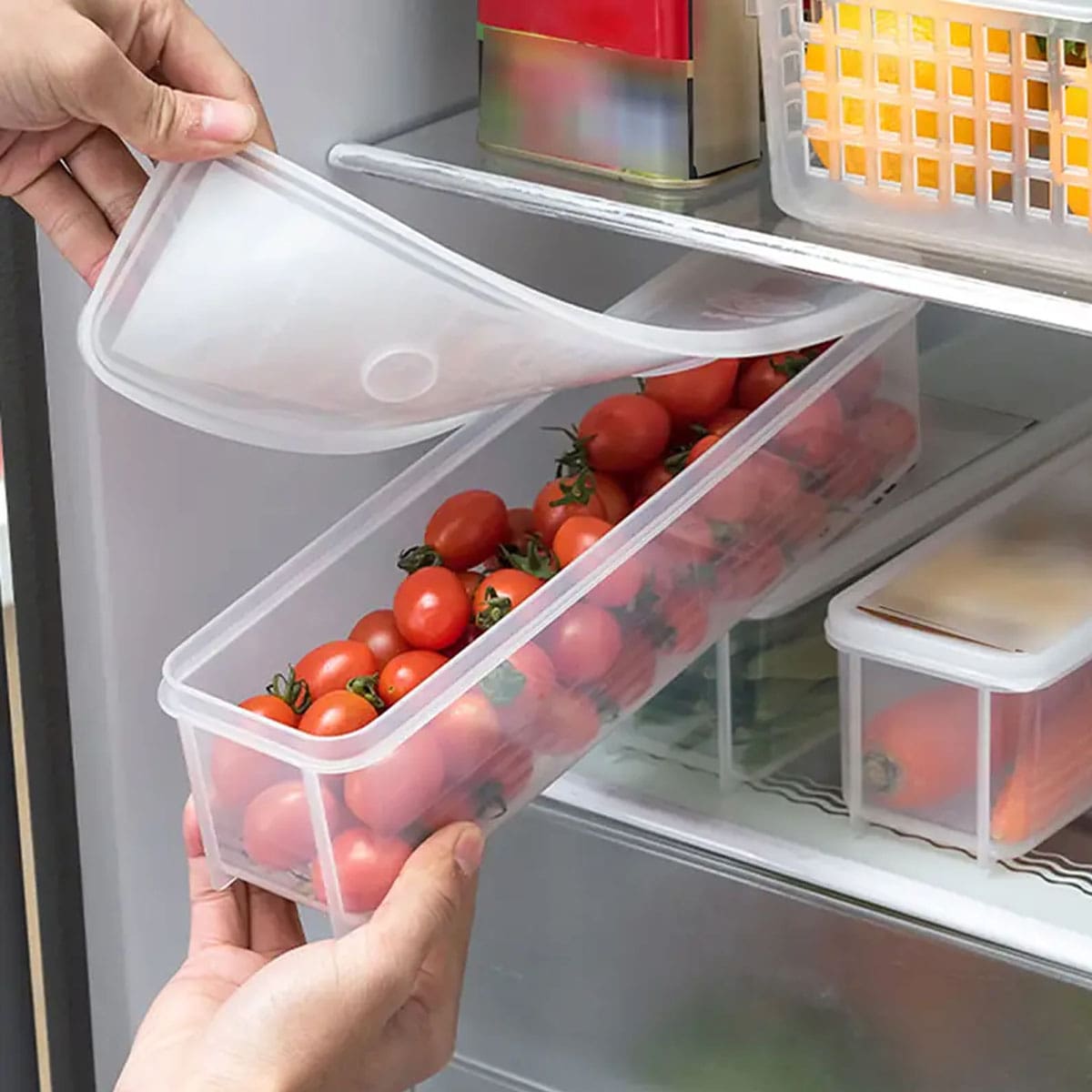 1 Plastic Transparent Storage  - đánh giá và giá Food Storage Refrigerator