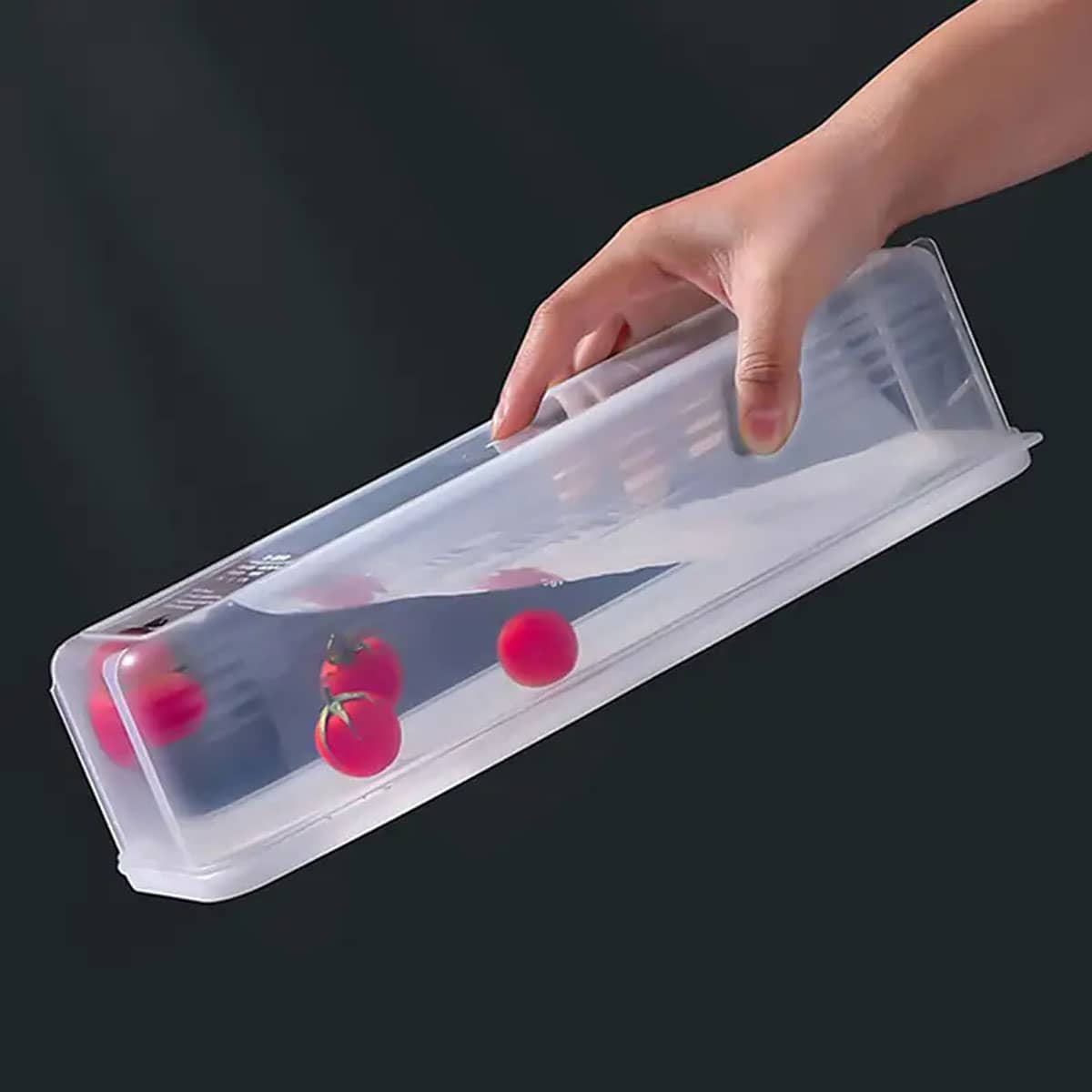 1 Plastic Transparent Storage  - đánh giá và giá Food Storage Refrigerator